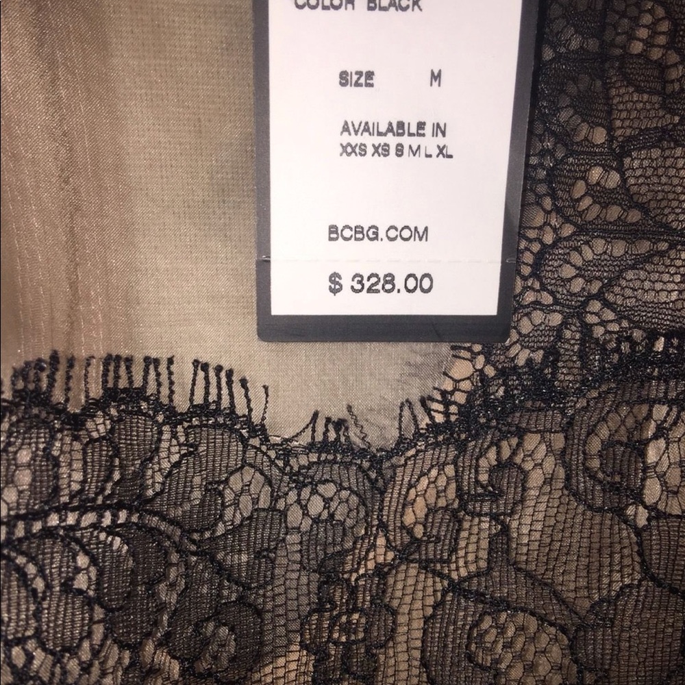BCBG Maxazaria Sheer Organza & Lace Cocktail Dress - Picture 4 of 8